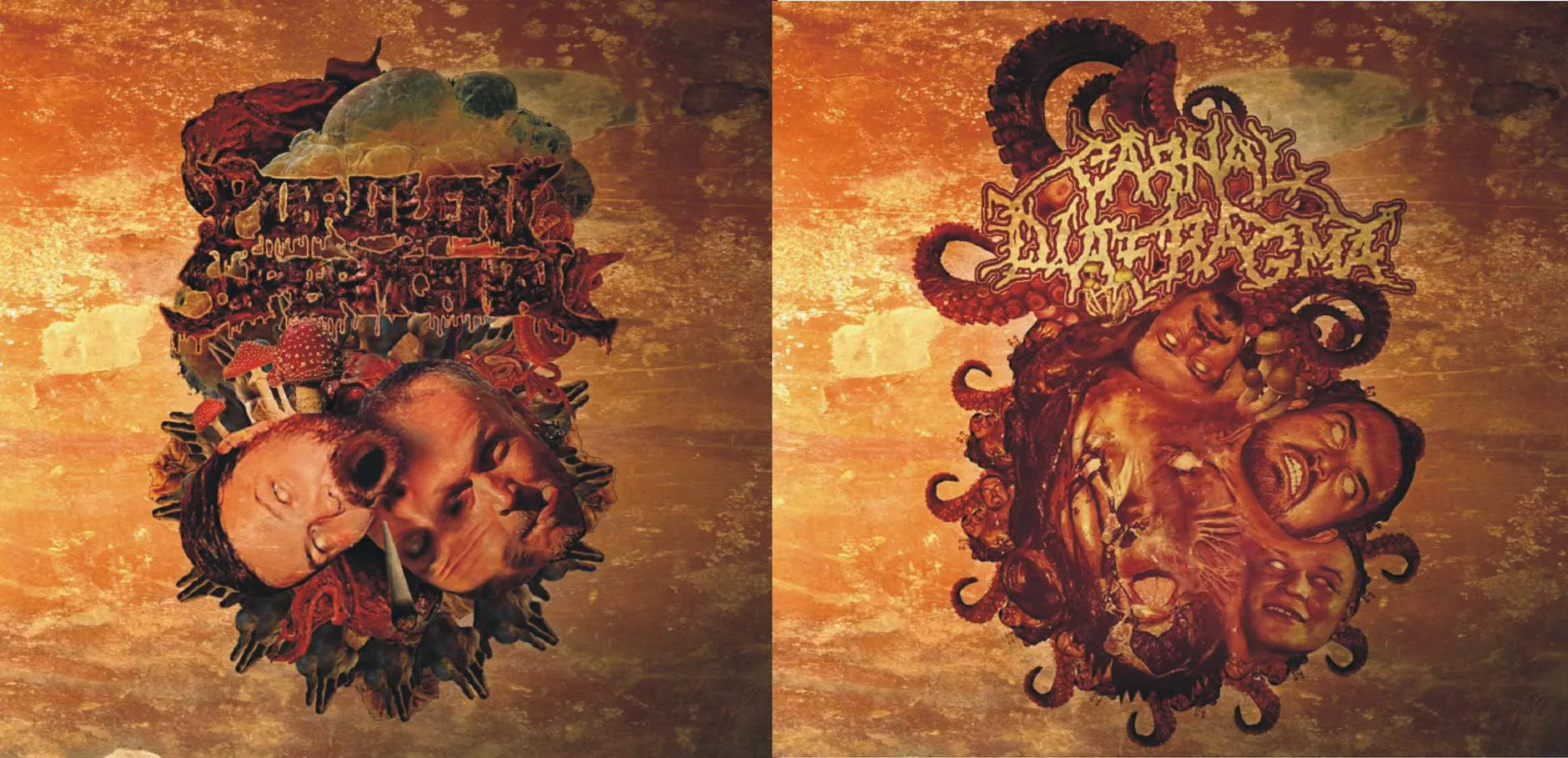 Purulent Spermcanal / Carnal Diafragma cover