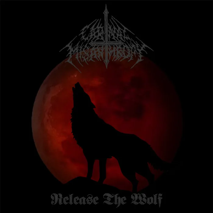 Release the Wolf cover