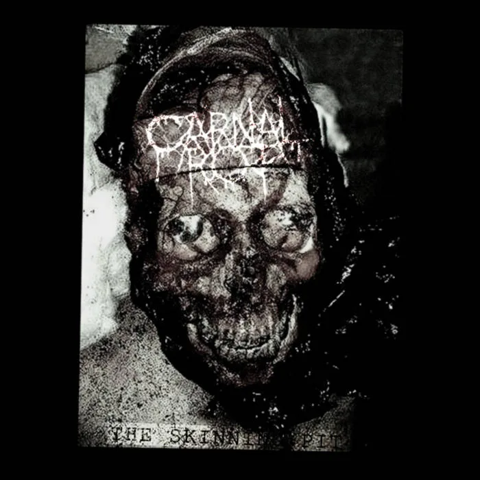 The Skinning Pit cover