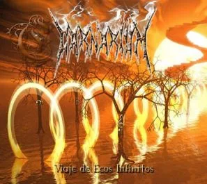 Viaje de ecos infinitos cover