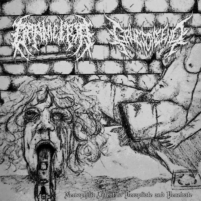 Necrophilic Intent to Decapitate and Penetrate cover