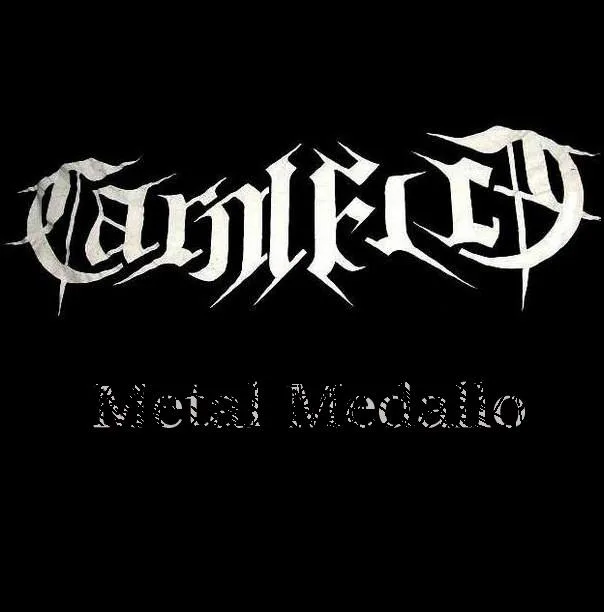 Metal Medallo cover