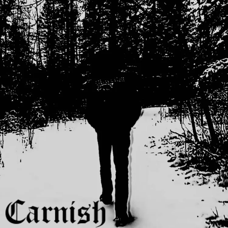 What Summer Will Become cover