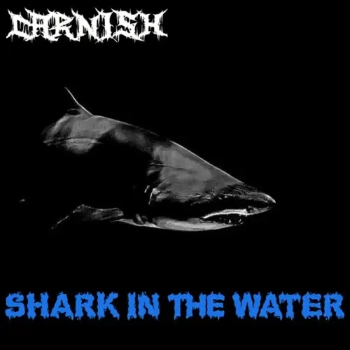 Shark in the Water cover