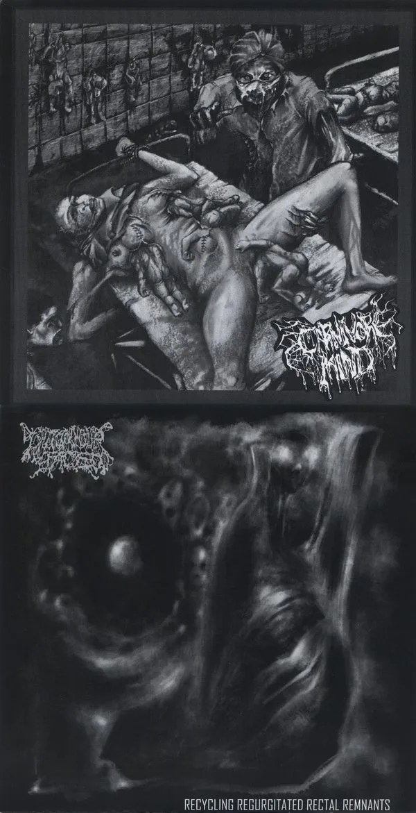 Untitled / Recycling Regurgitated Rectal Remnants cover