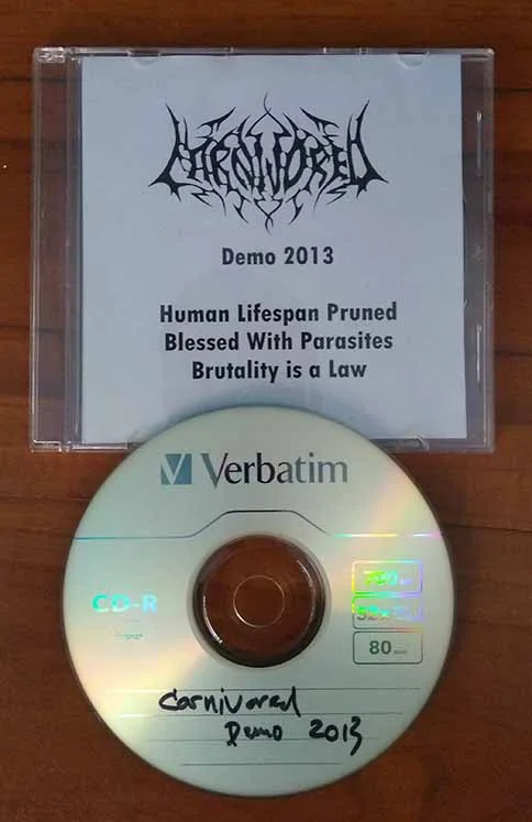 Demo 2013 cover
