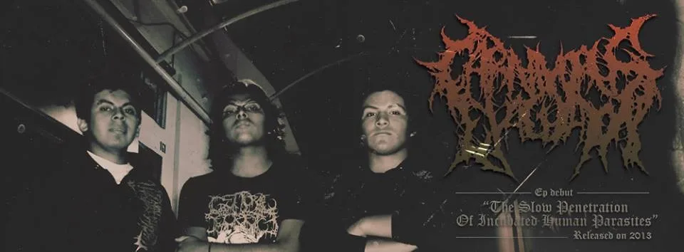 The Slow Penetration of Incubated Human Parasites cover