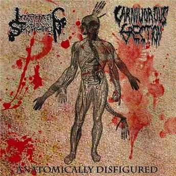 Anatomically Disfigured cover
