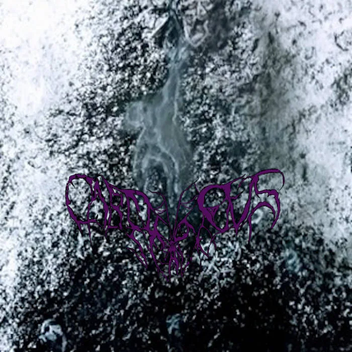 Haunt cover