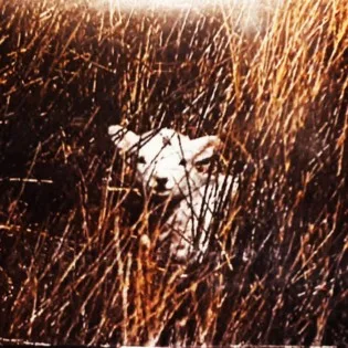 Unforgiving Nature cover