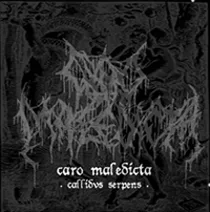 Callidvs Serpens cover