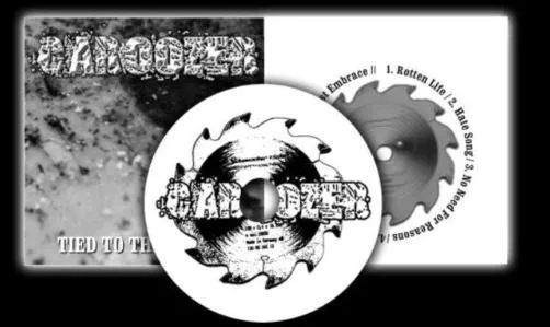 Tied to the Ground cover