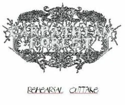 Rehearsal Outtake cover