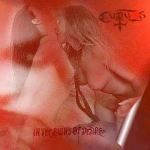 In the Ruins of Desire cover
