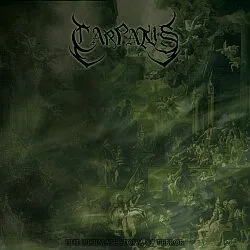 The Ultimate Storm of Terror cover