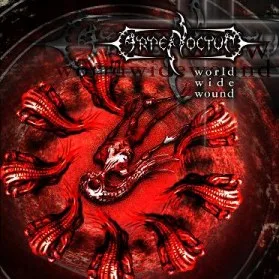 World Wide Wound cover