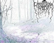 At the Gate of the Unholy Forest cover