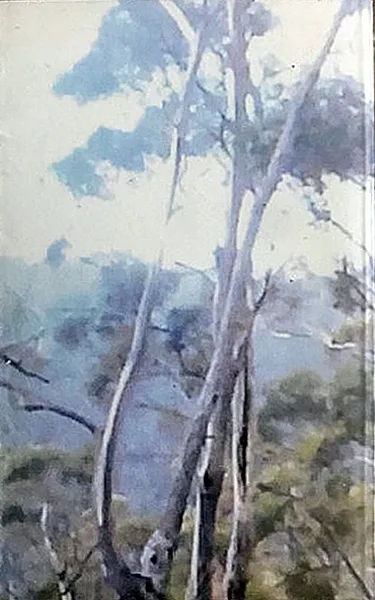 Rehearsal IX-VIII-XII / Live Ritual cover