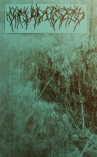 Rehearsal MMXIII cover