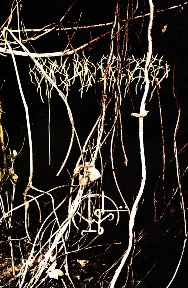 Carved Cross / Phantom Feel cover