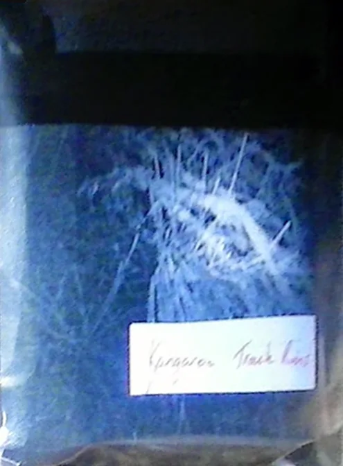 Rehearsal May MMXIV cover