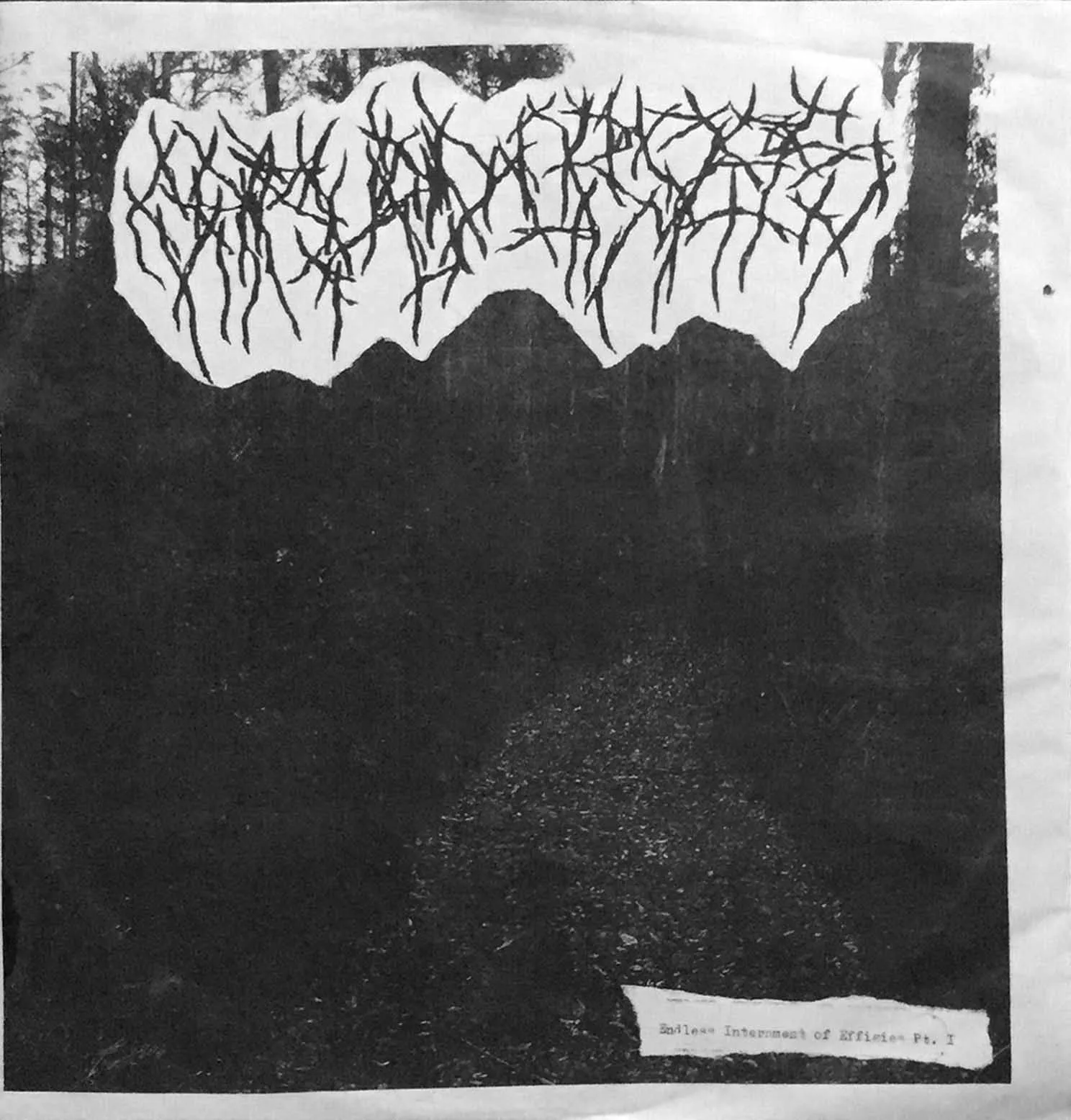 Endless Internment of Effigies Pt. I cover