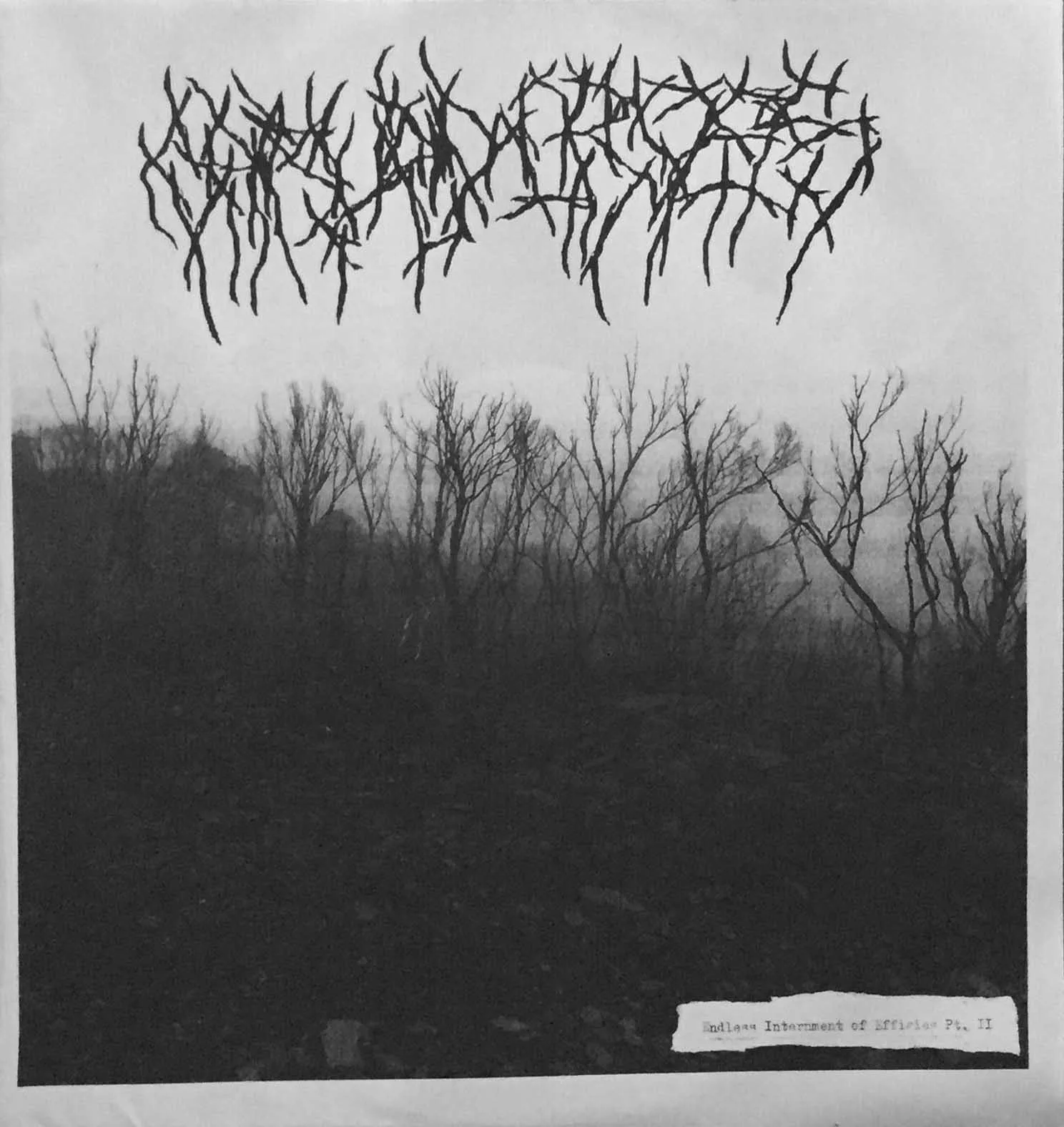 Endless Internment of Effigies Pt. II cover