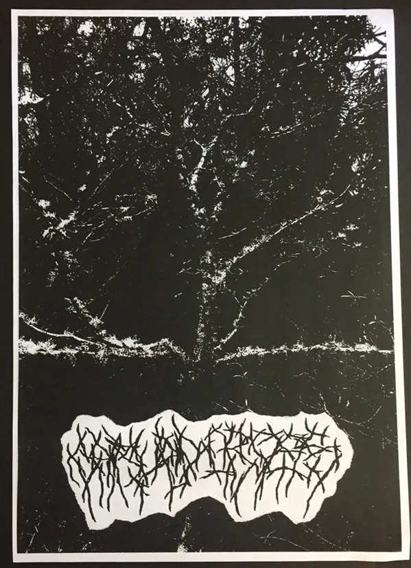 Solitary Internment of an Effigy cover