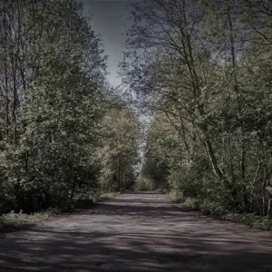 Our Depressive Fire cover