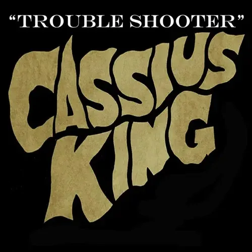 Trouble Shooter cover