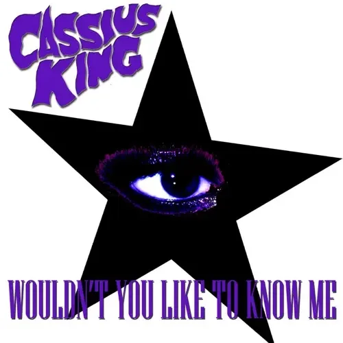 Wouldn't You Like to Know Me cover