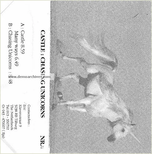 Chasing Unicorns cover