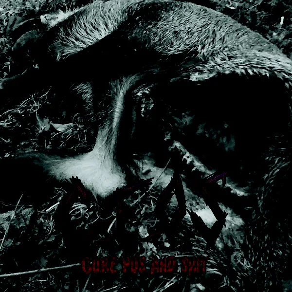 Gore Pus and Shit cover