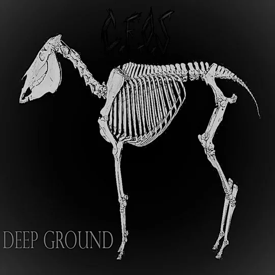Deep Ground cover