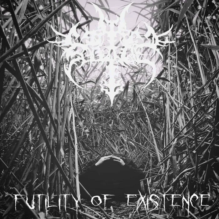 Futility of Existence cover