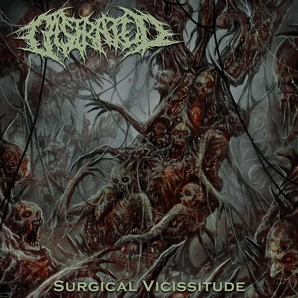 Surgical Vicissitude cover
