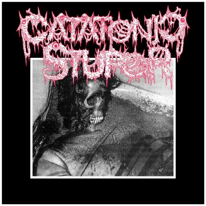 Catatonic Stupor cover