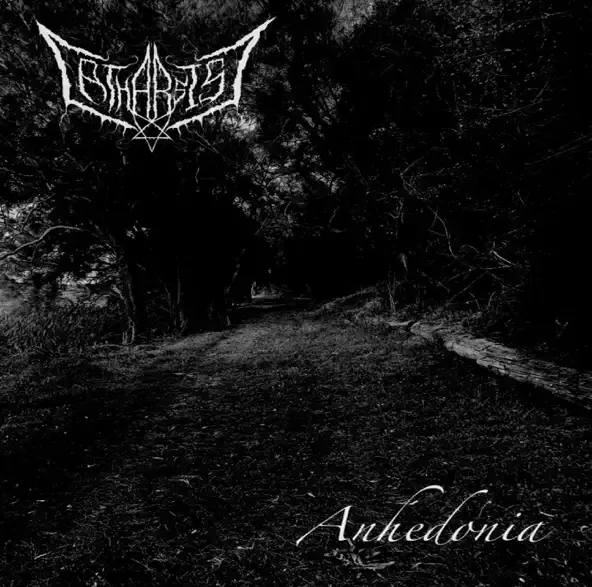 Anhedonia cover