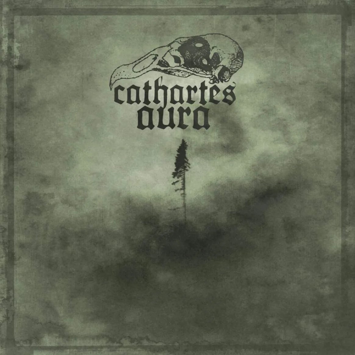 Cathartes Aura cover