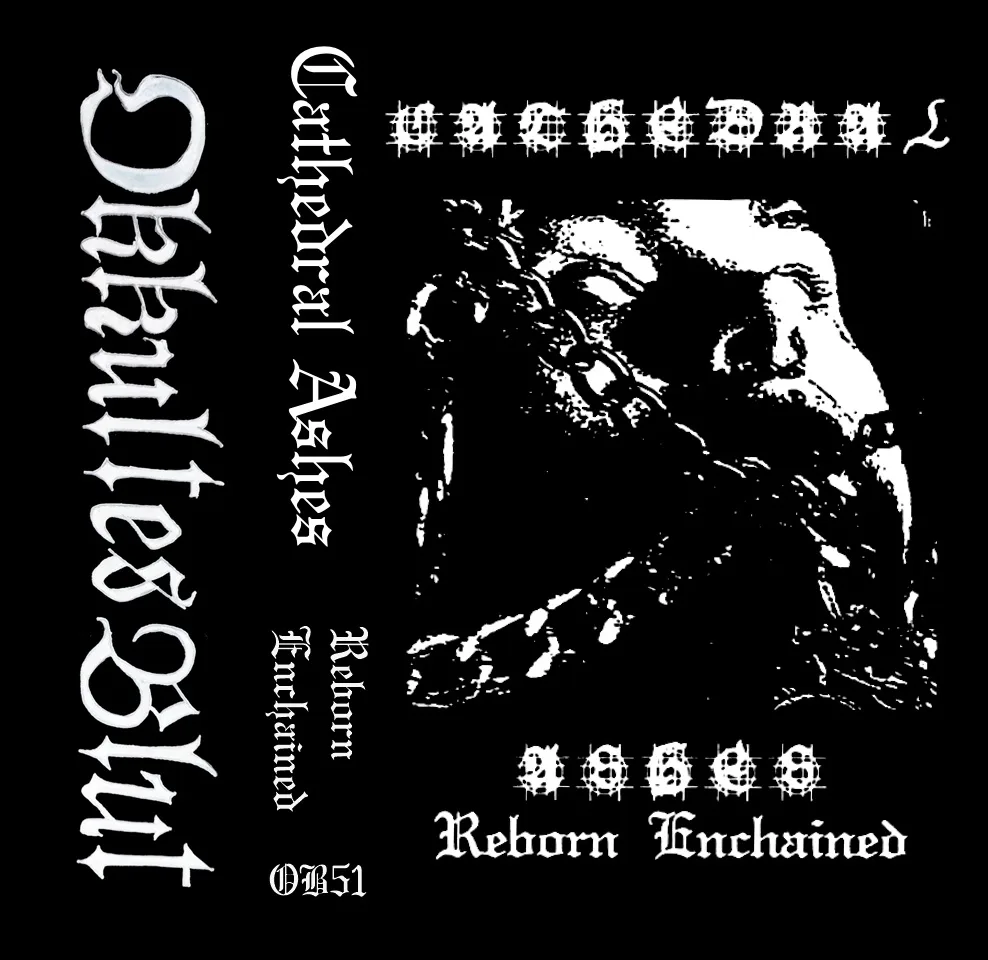 Reborn Enchained cover