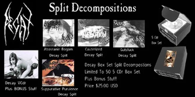 Split Decompositions cover