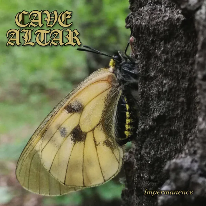 Impermanence cover