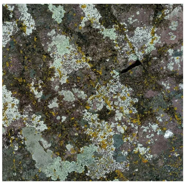 Grit II cover