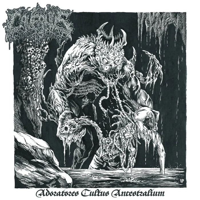 Adoratores Cultus Ancestralium cover