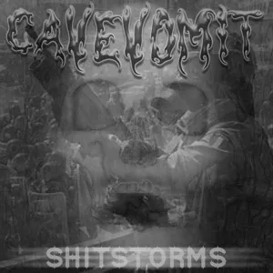 Shitstorms cover