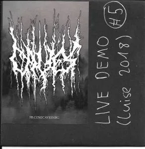 Live Demo (Luise 2018) cover