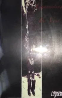Channeling the Void cover