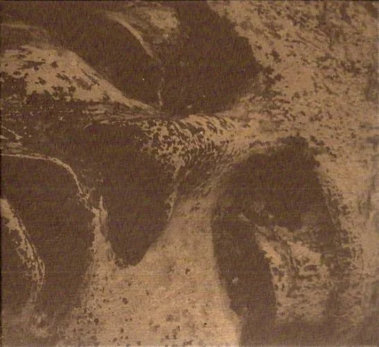 Misanthrope(s) cover