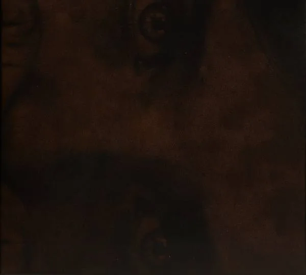 Morte(s) nee(s) cover