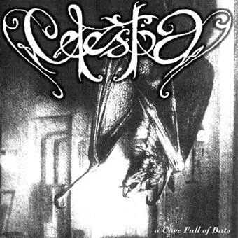 A Cave Full of Bats cover